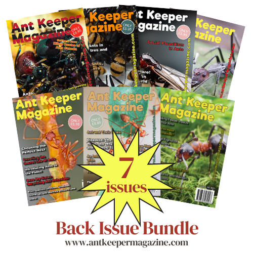 7-issue back issue print bundle (UK) - Issues 2 - 9